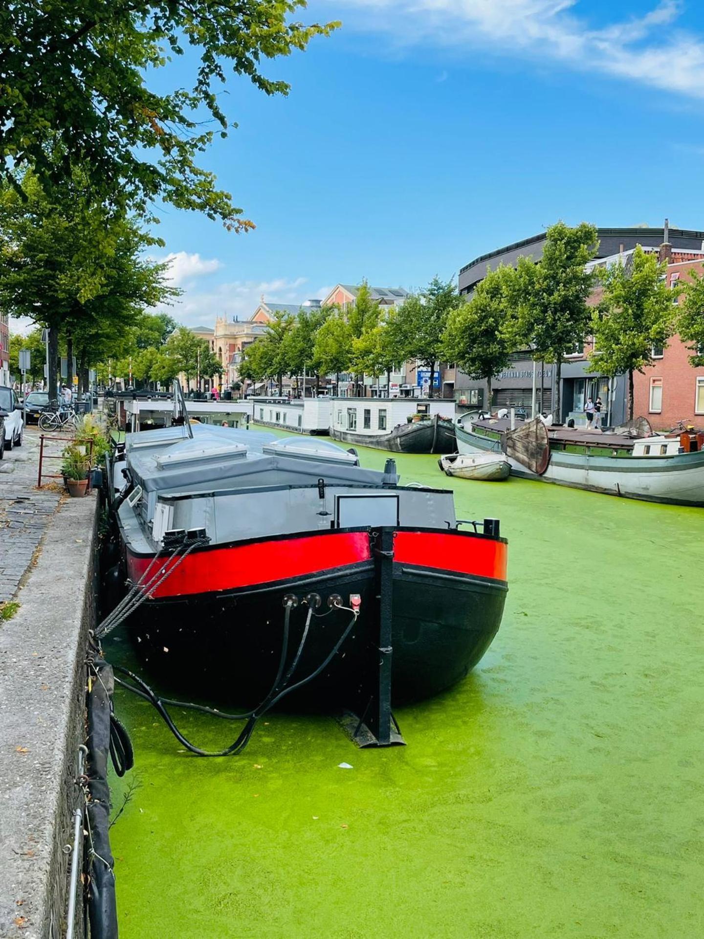 Guesthouse Het Gouden Eiland Veendam Eksteriør billede
